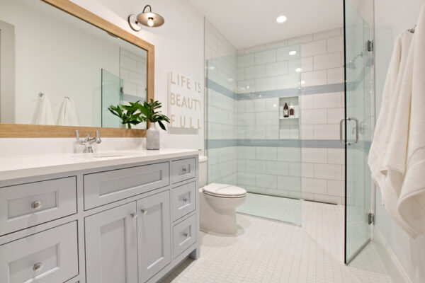 Shower Enclosures Kewanee IL, Sleek design in well planned bathroom